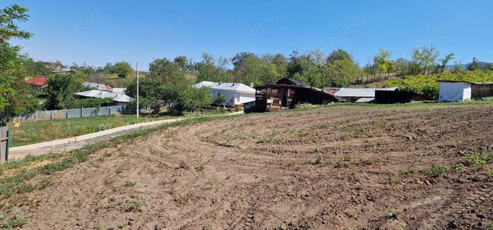 Teren intravilan 5000 m  si casa Odaia Manolache.