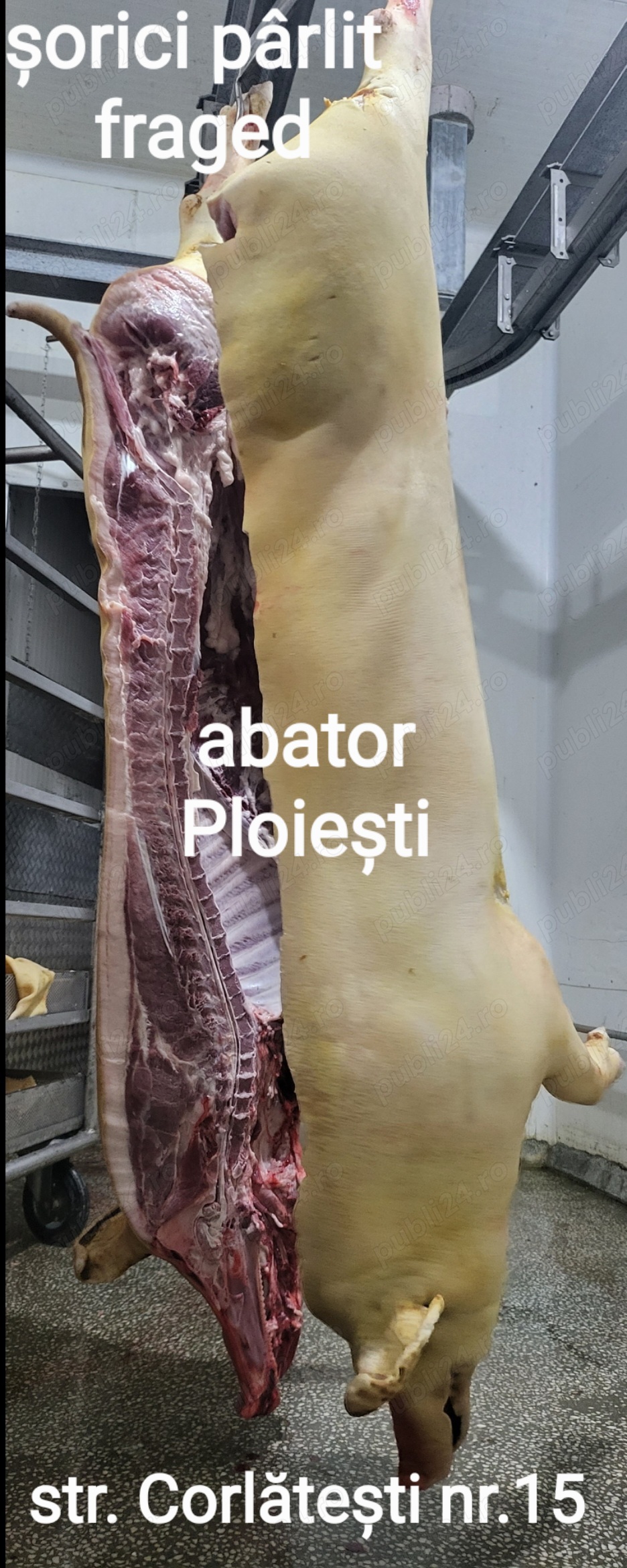 SUPEROFERTĂ! Carne porc românesc în carcasă pârlită tradițional cu șorici (jumătate) direct abator