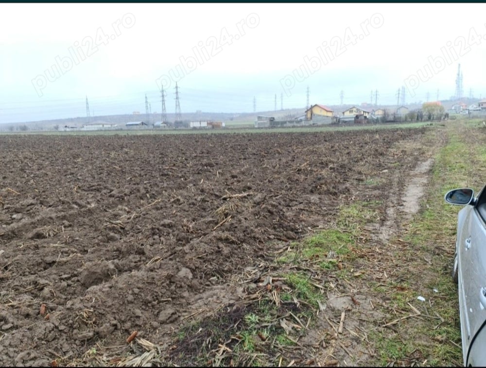 Teren extravilan arabil in Simnicu de Jos