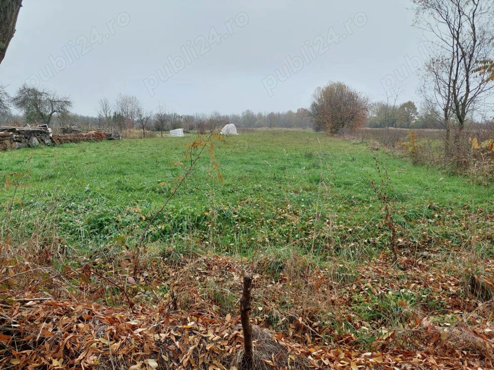 Loc de casă Rohani (Ginta) comuna Capâlna la 42 km de Oradea 