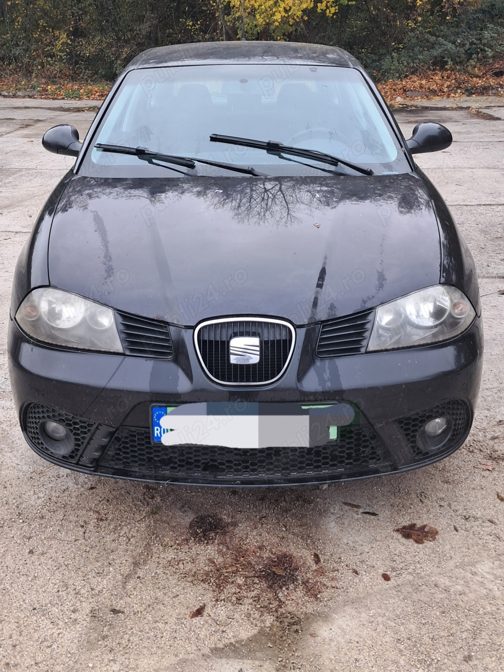 Vand Seat Ibiza 2006, 1.4 benzina, 86 cp