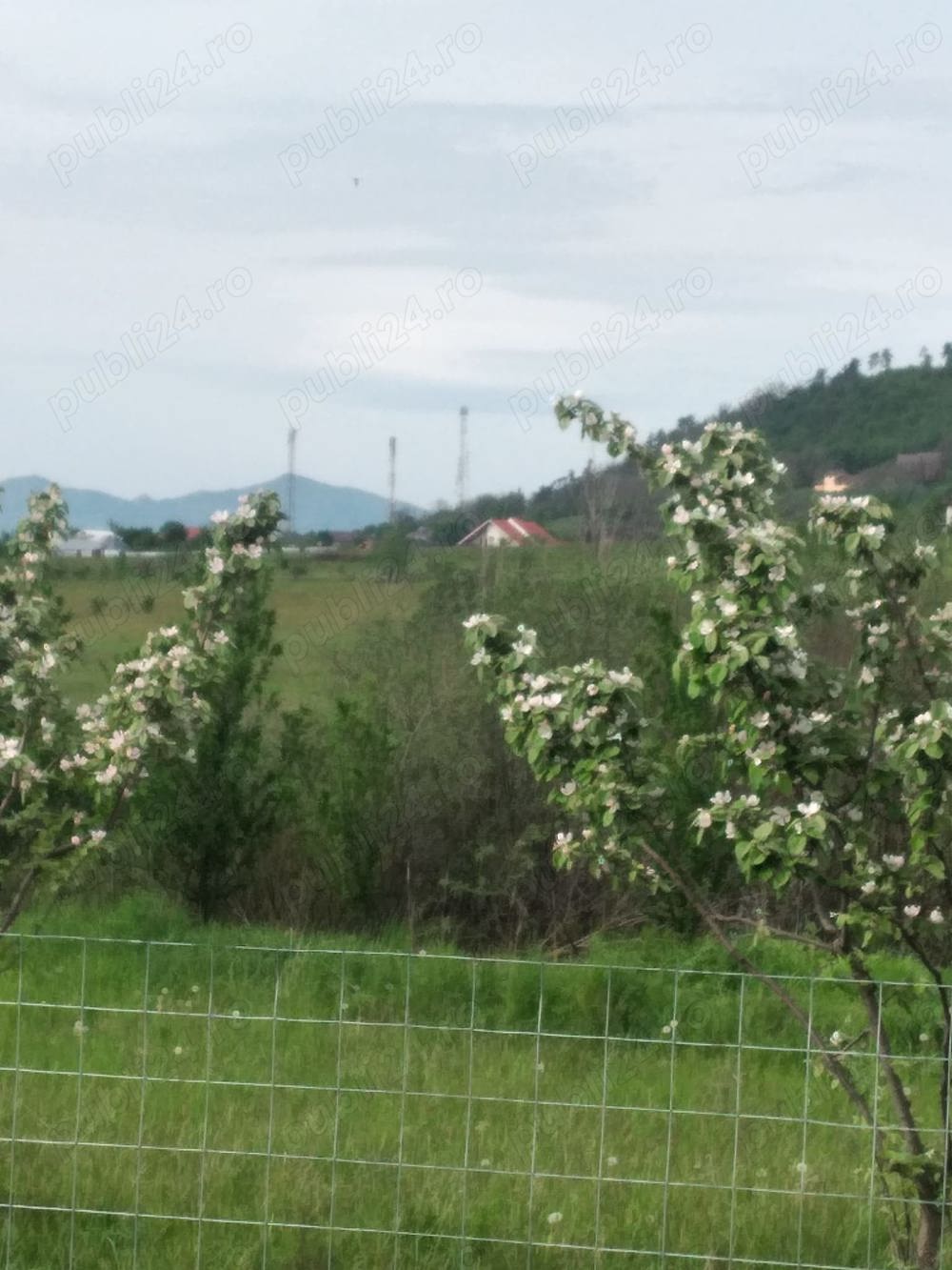 Vând teren în intravilanul orașului