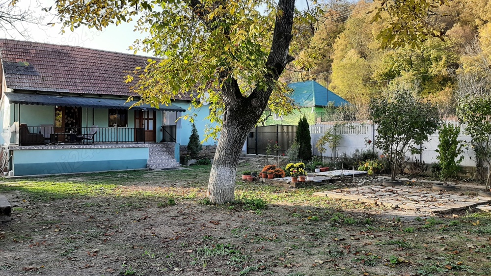 Casa de vanzare sat Odvoș 