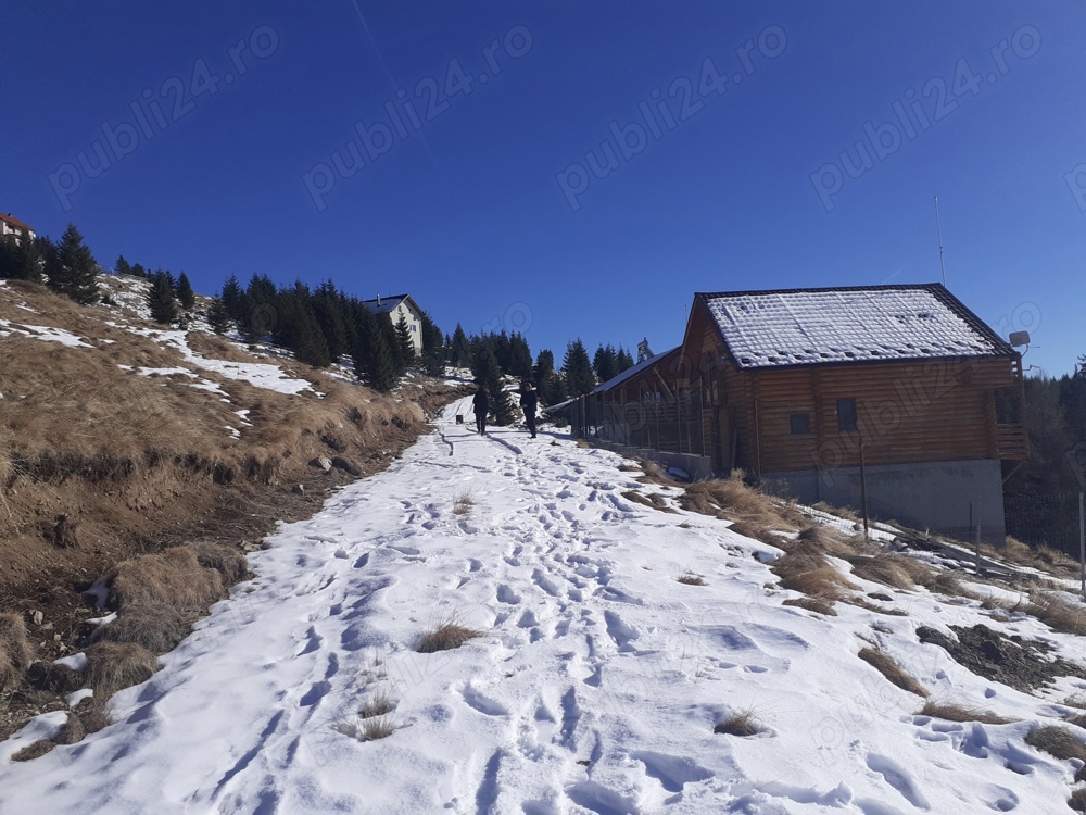 Cedez lot  1000 mp in Varful lui Roman,Horezu