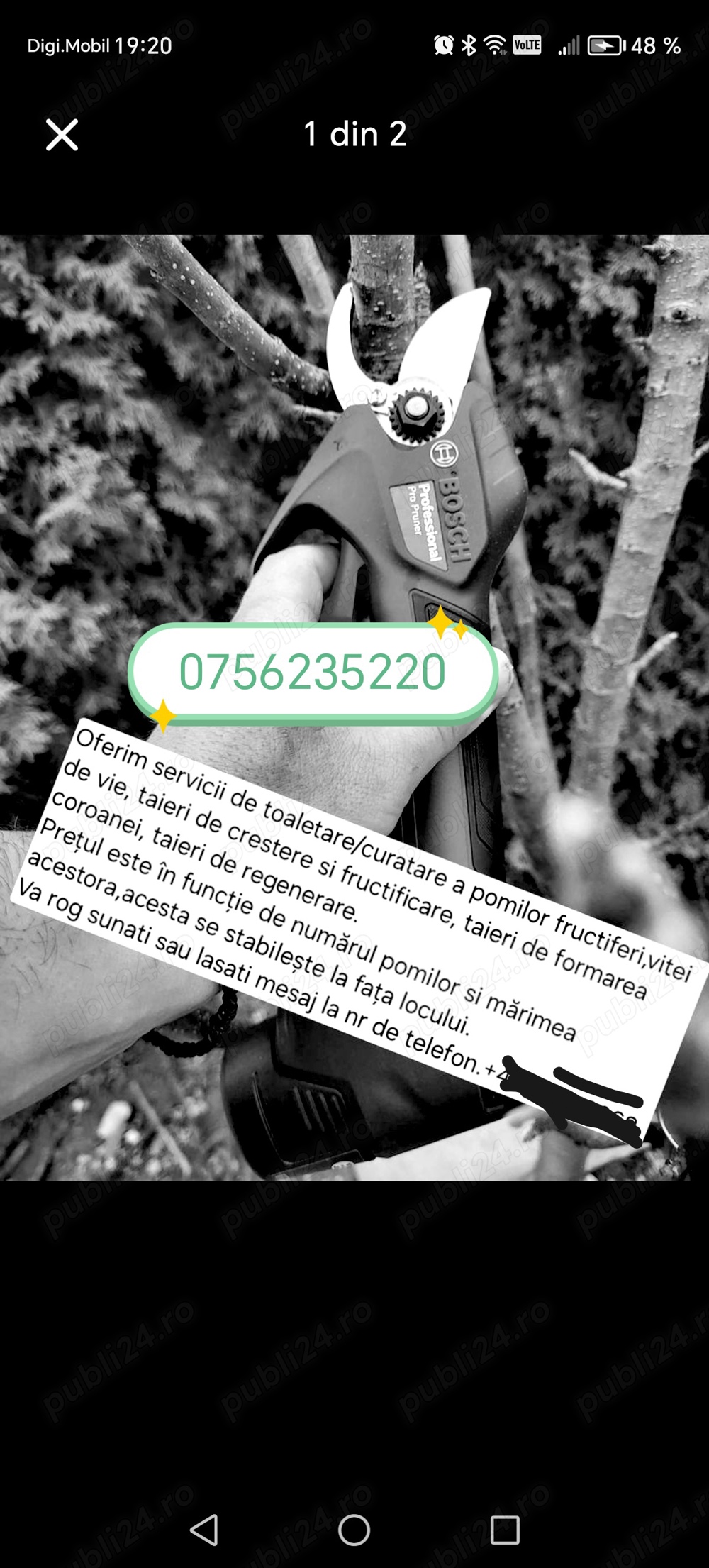 servici toaletare pomi