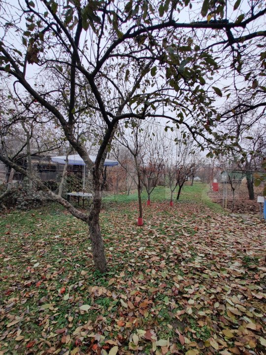 Casa renovabila/demolabila, 80 mp utili, teren 1000 mp, Zona Maramuresului