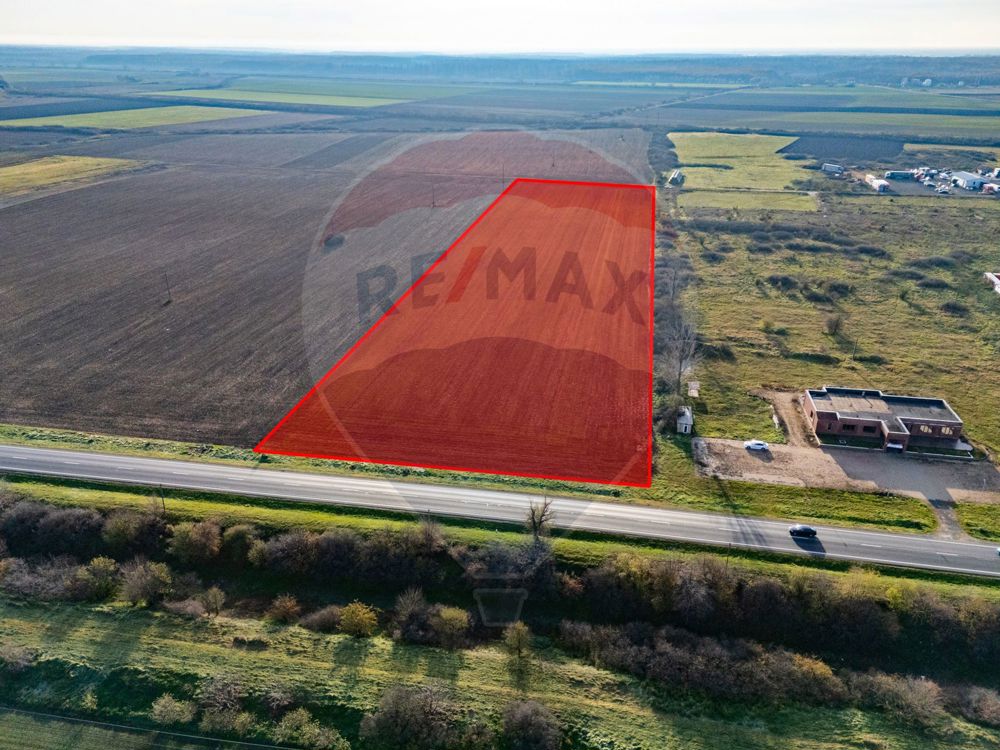 Teren 29220 mp Pecica,DN7, langa autostrada- Ideal pentru afaceri