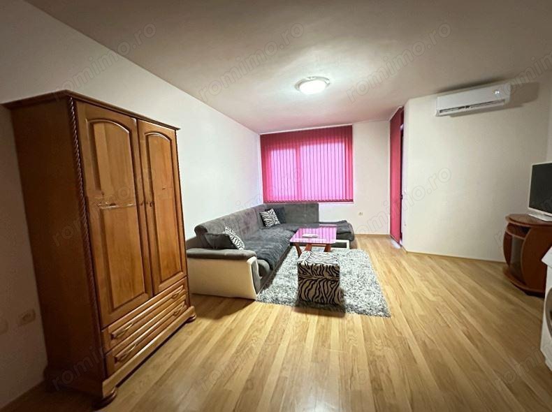 Apartament 1 camera Lipovei