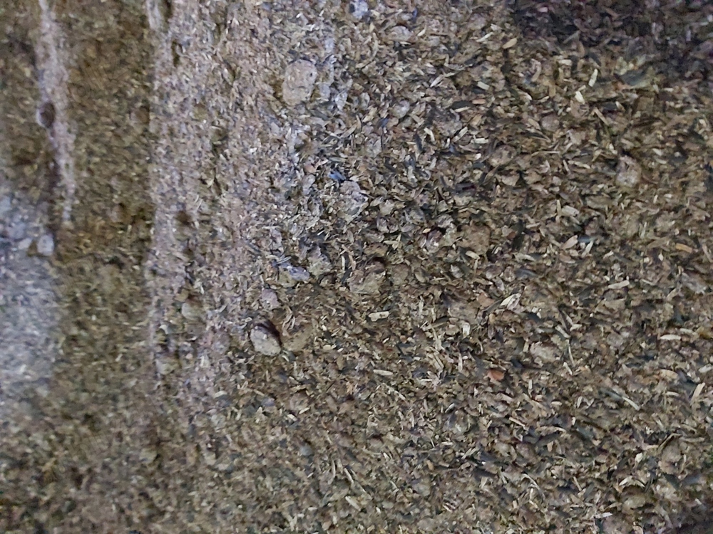 Șrot de floarea soarelui 