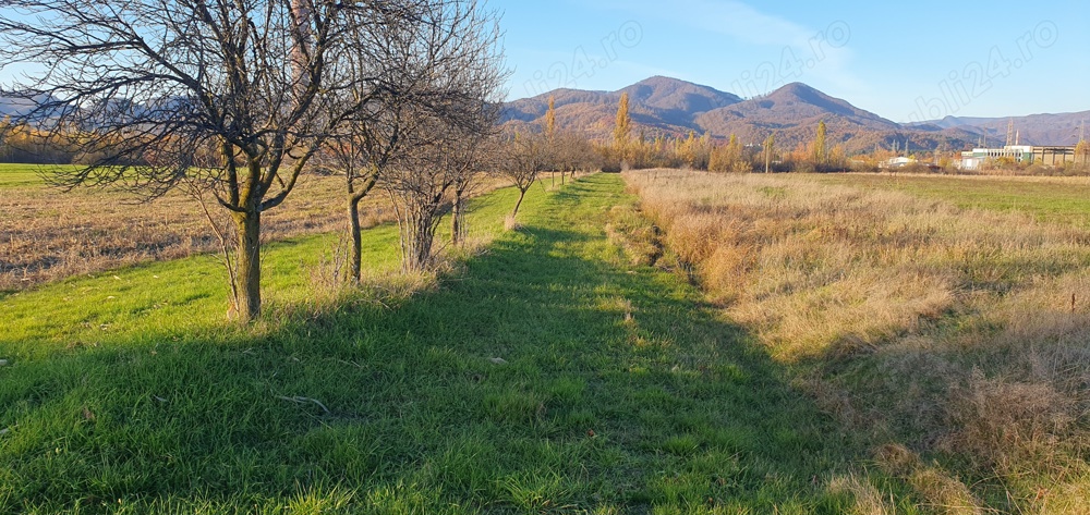 32 ari intravilan Sebesului