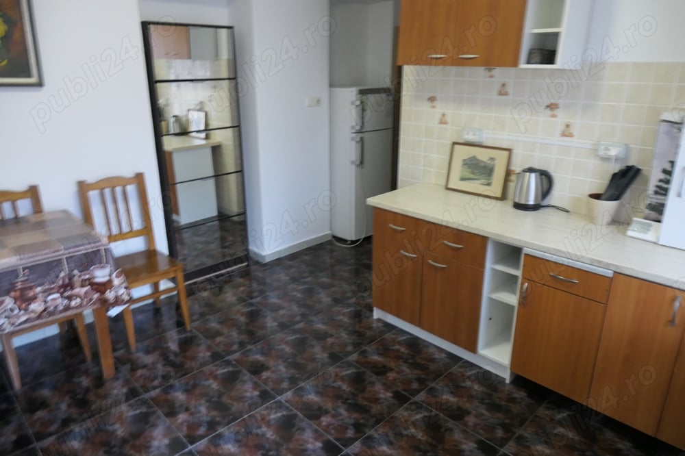 Apartament 1 cameră spațios, încălzire proprie, central - Podgoria