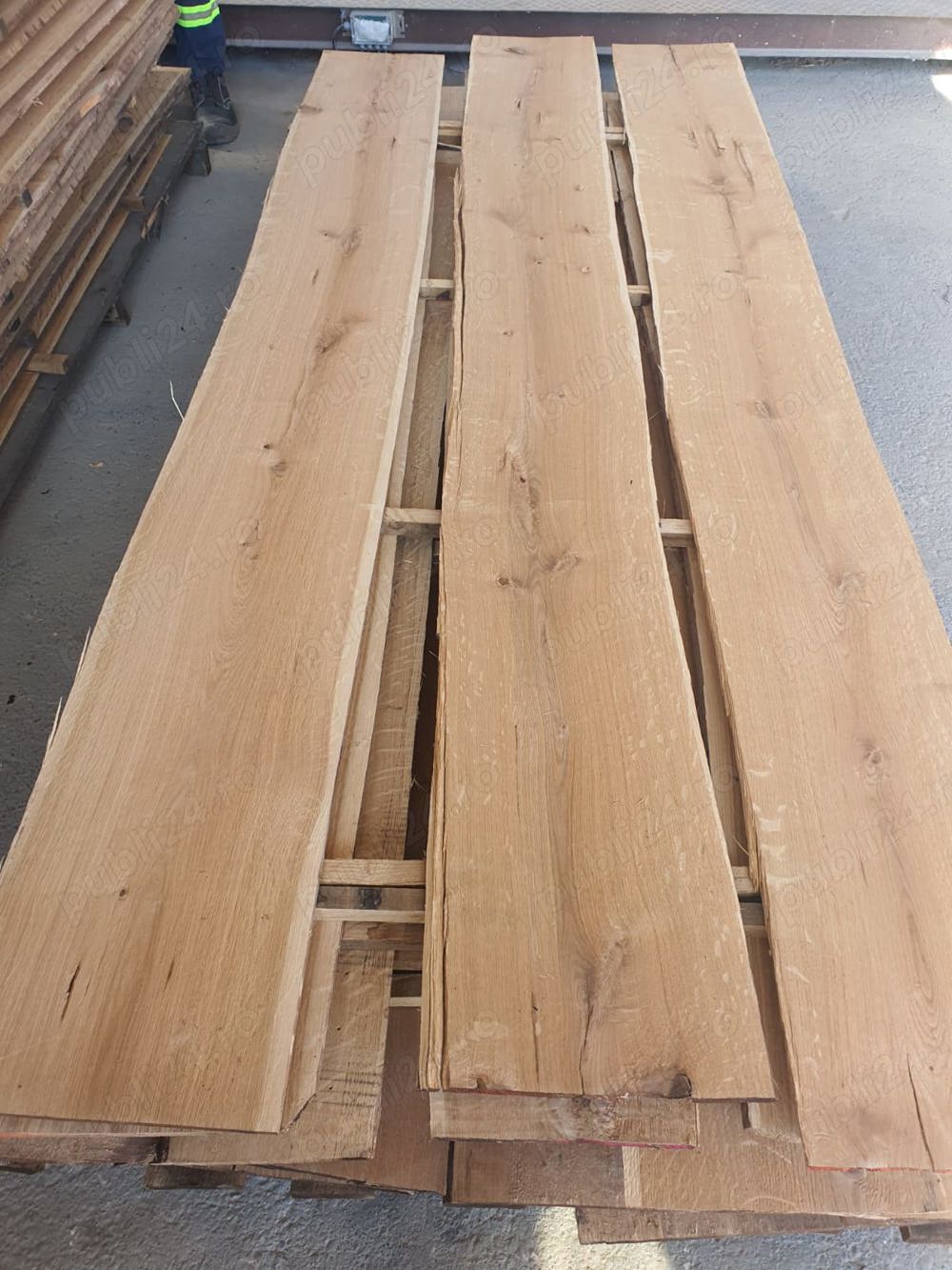 rest procesare stejar (cherestea)