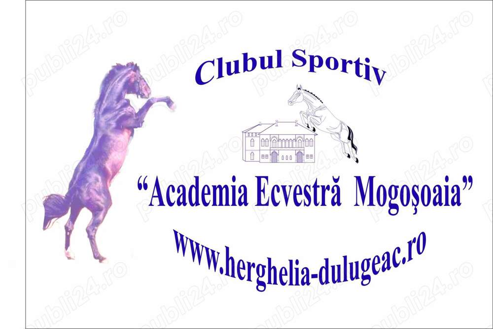 Ingrijitor cai club de echitatie Ingrijitor cai club de echitatie