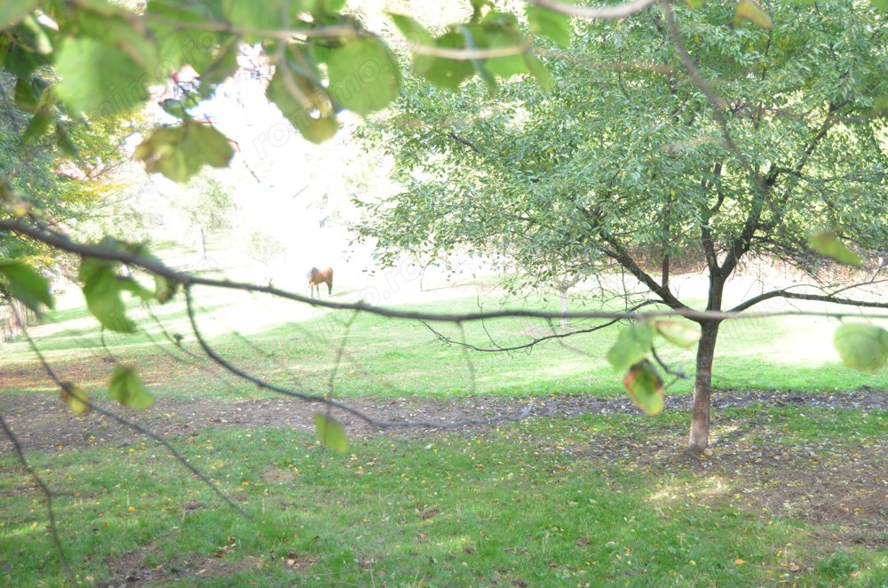 Teren intravilan Brasov-Schei