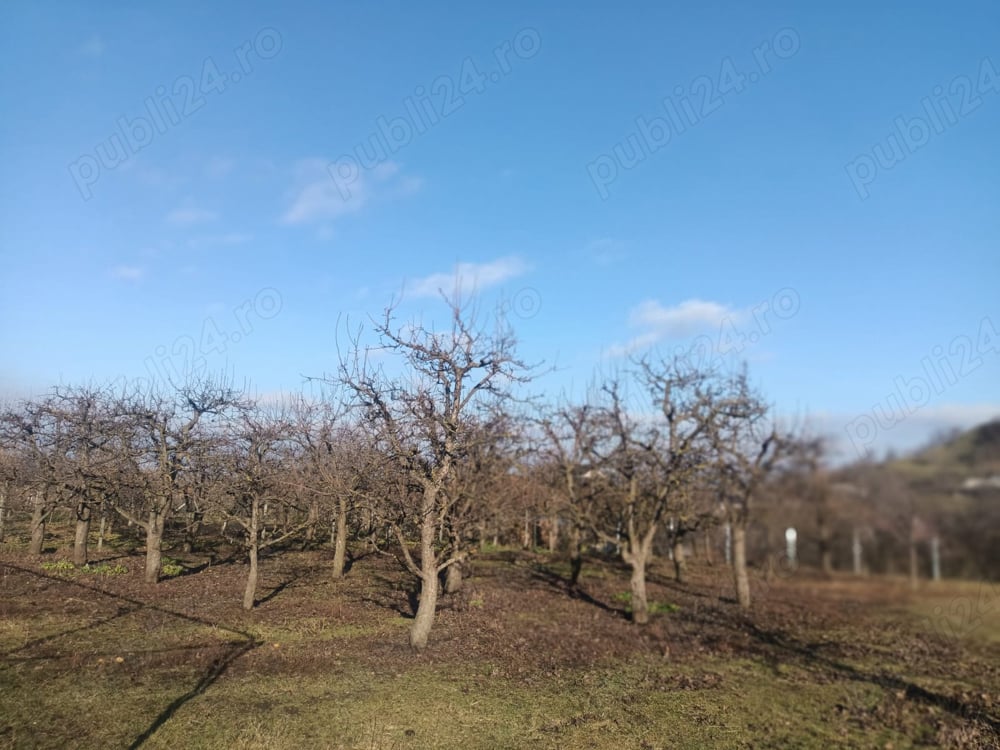 Vand apartament zona Radaseni