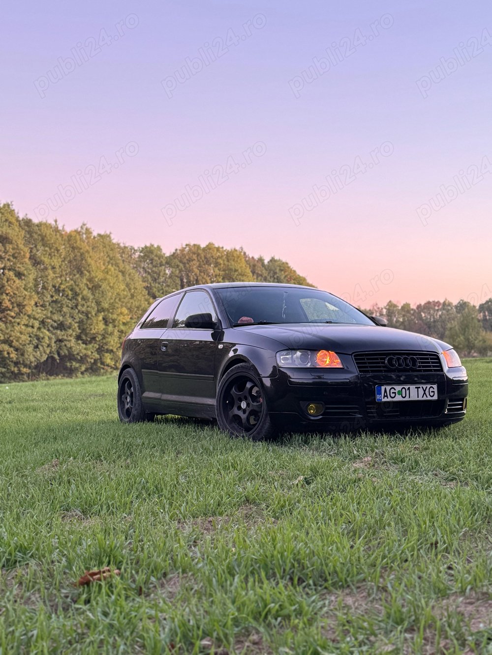 Audi a3 8p