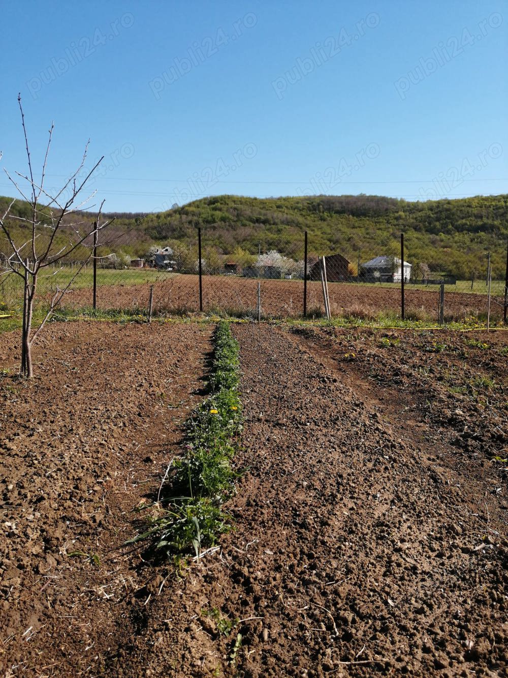 Topoloveni: Loc casa gradina cu utilitati si anexa locuibila