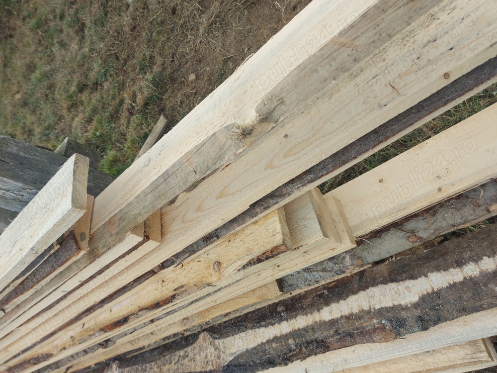 Schimb margini  pe cereale sau porci  Schimb margini  pe cereale sau porci