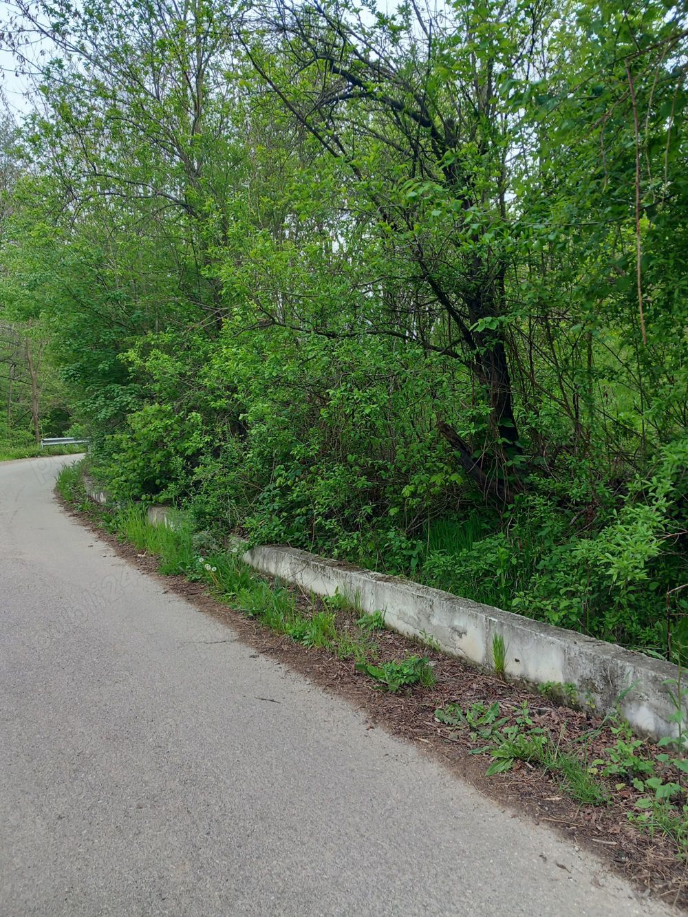 Teren pentru casa intravilan Slanic