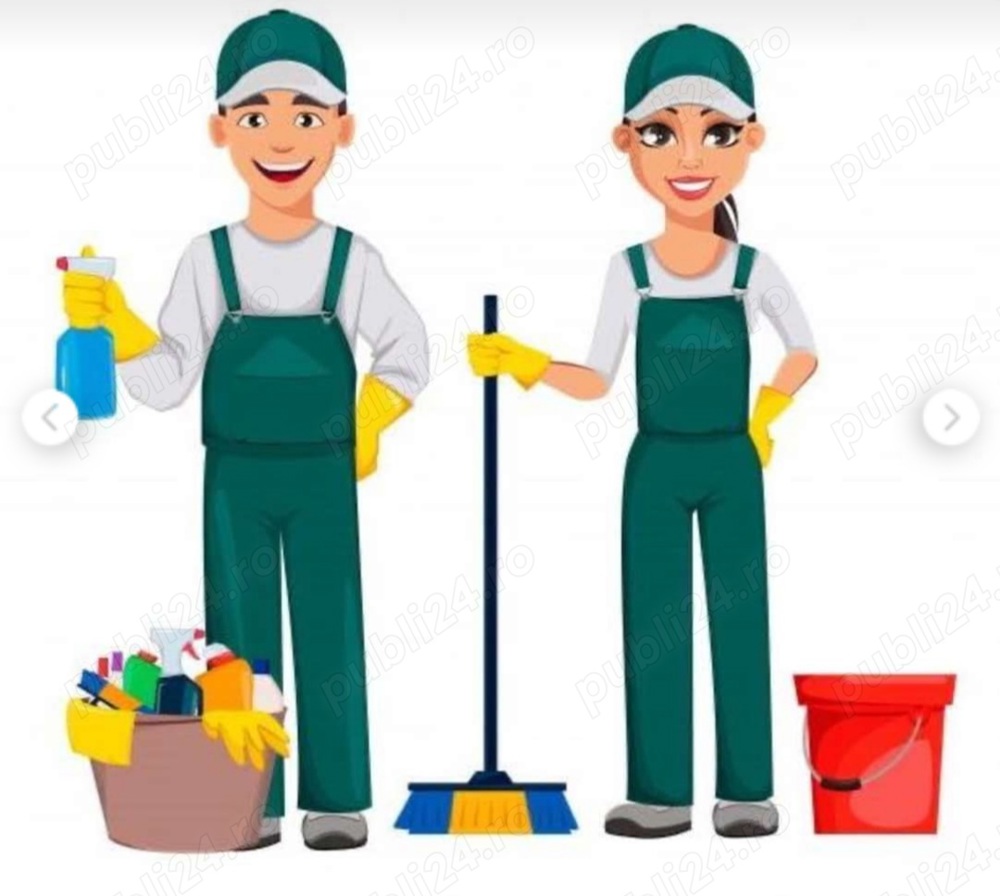 curatenie case apartamente poduri beciuri