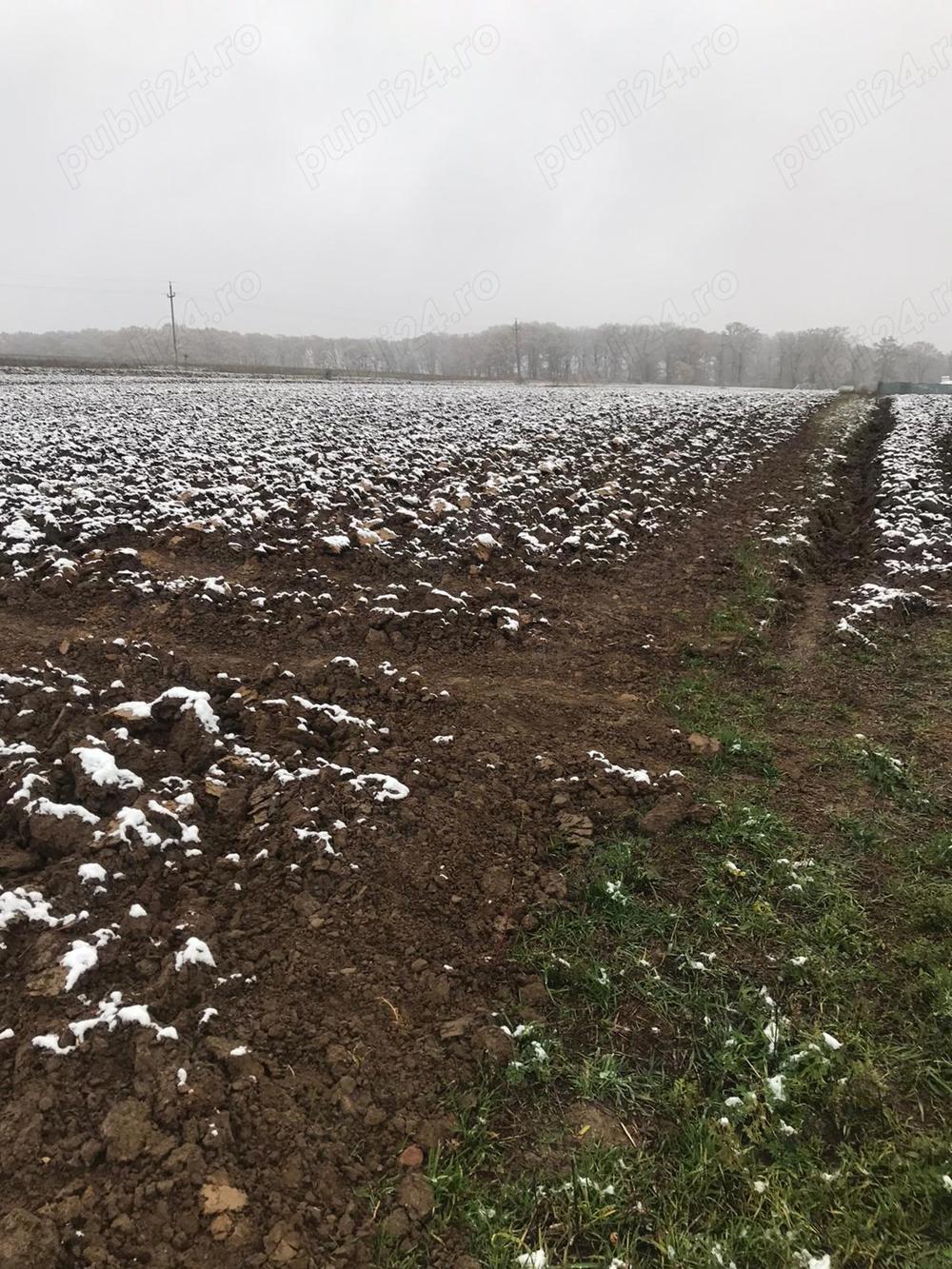 Vând teren intravilan 19 ari pe dealul din Burdujeni aproape de pădure 