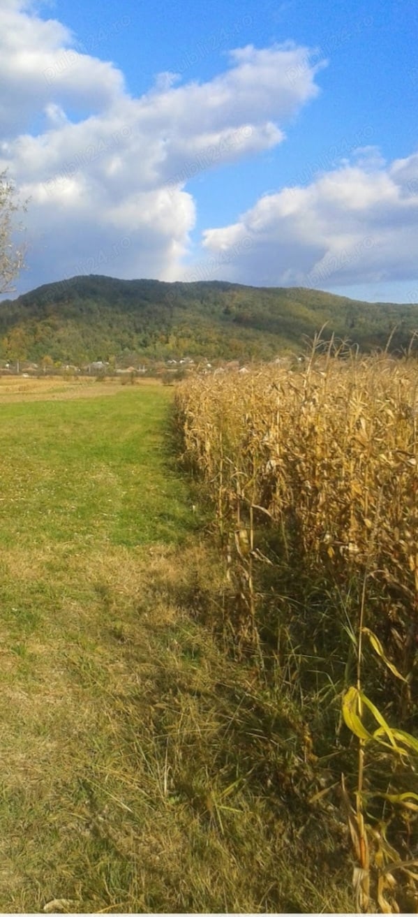 Teren agricol de vânzare 