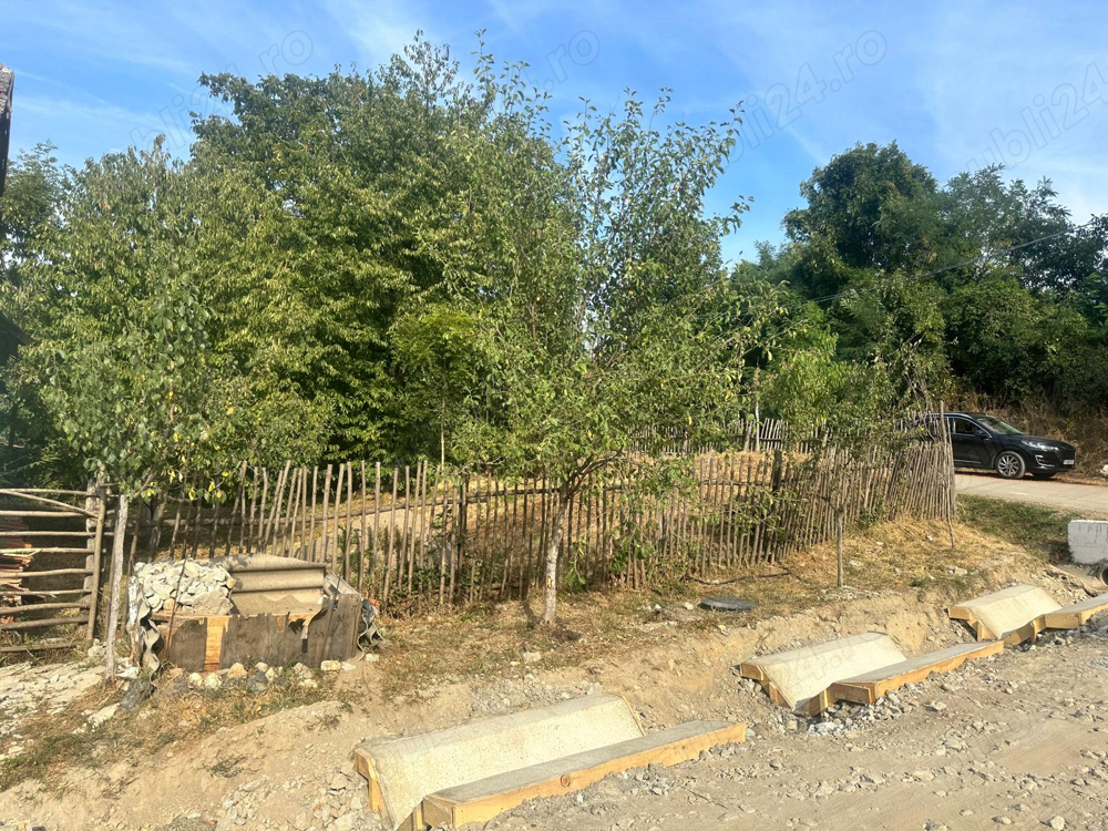 Vand Teren sat Potoc ochiu bei cheile nerei 