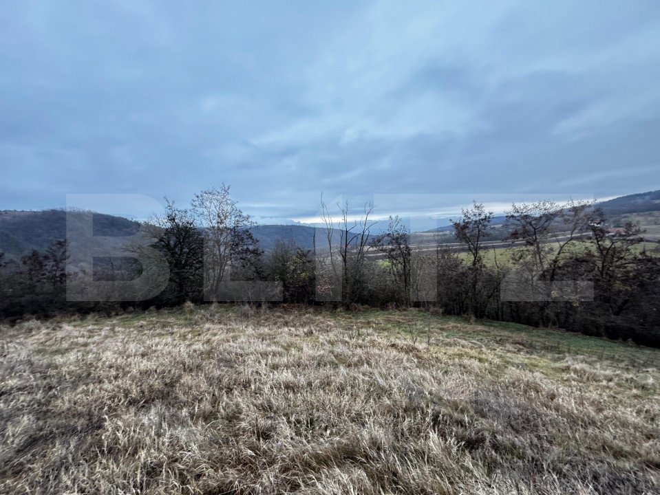 Teren extravilan 4300 mp, zona Criseni - Paclisa