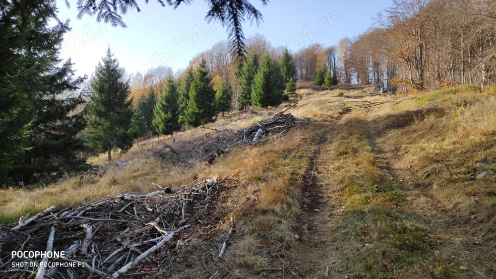 Teren de vanzare in Avram Iancu , Judet Alba