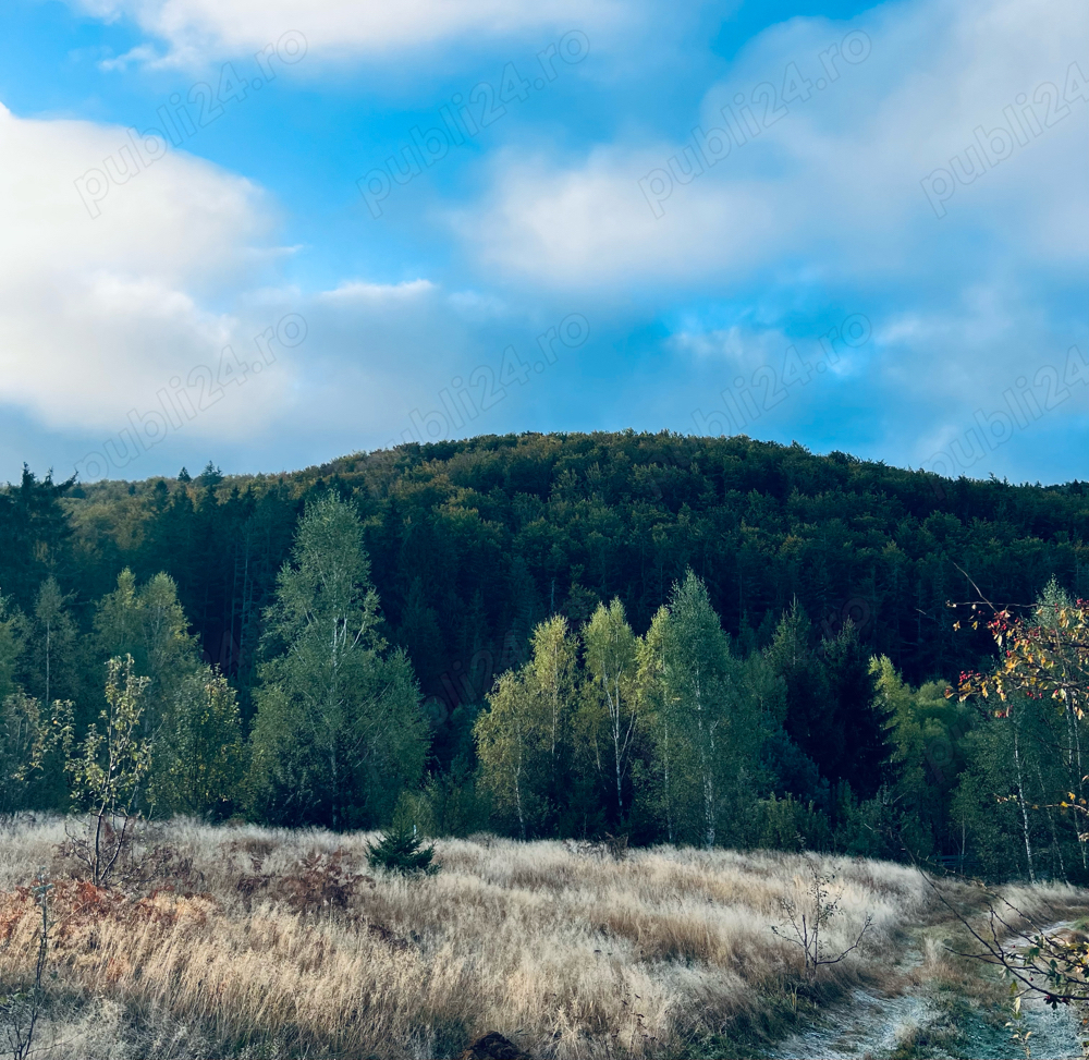 Teren Intravilan-Curent,Apa-Poiana Lupului