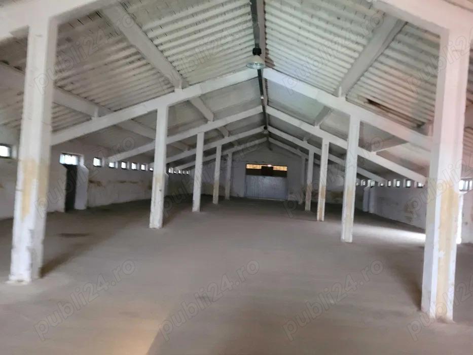 Hale de inchiriat - 1200m2 pana la 7200m2 Teiu Jud Hunedoara langa autostrada