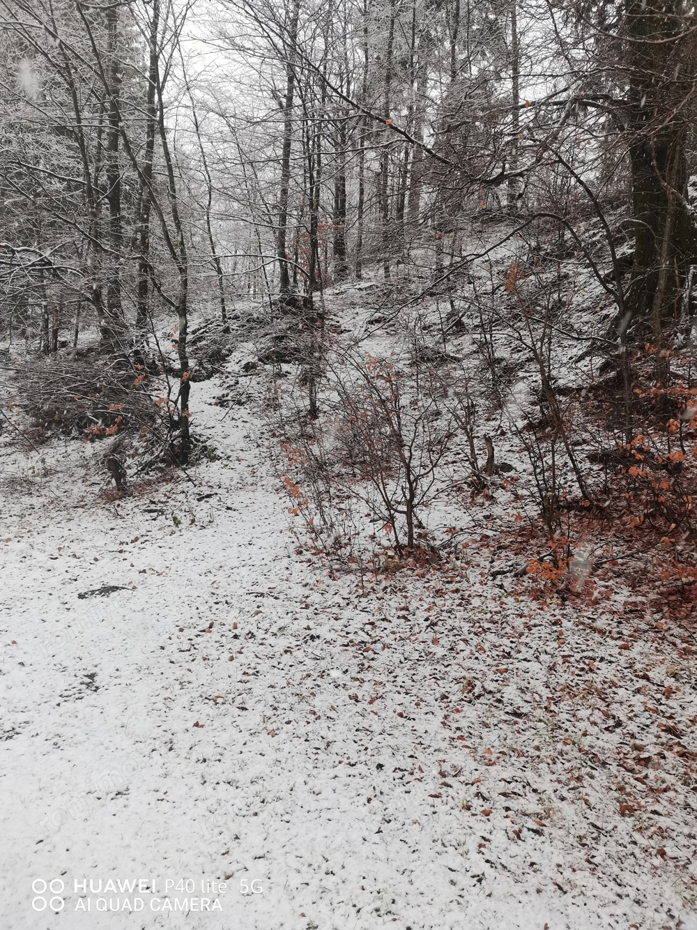 Teren intravilan situat in Busteni