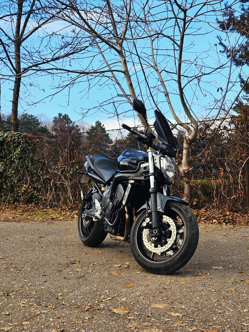 Yamaha FZ6