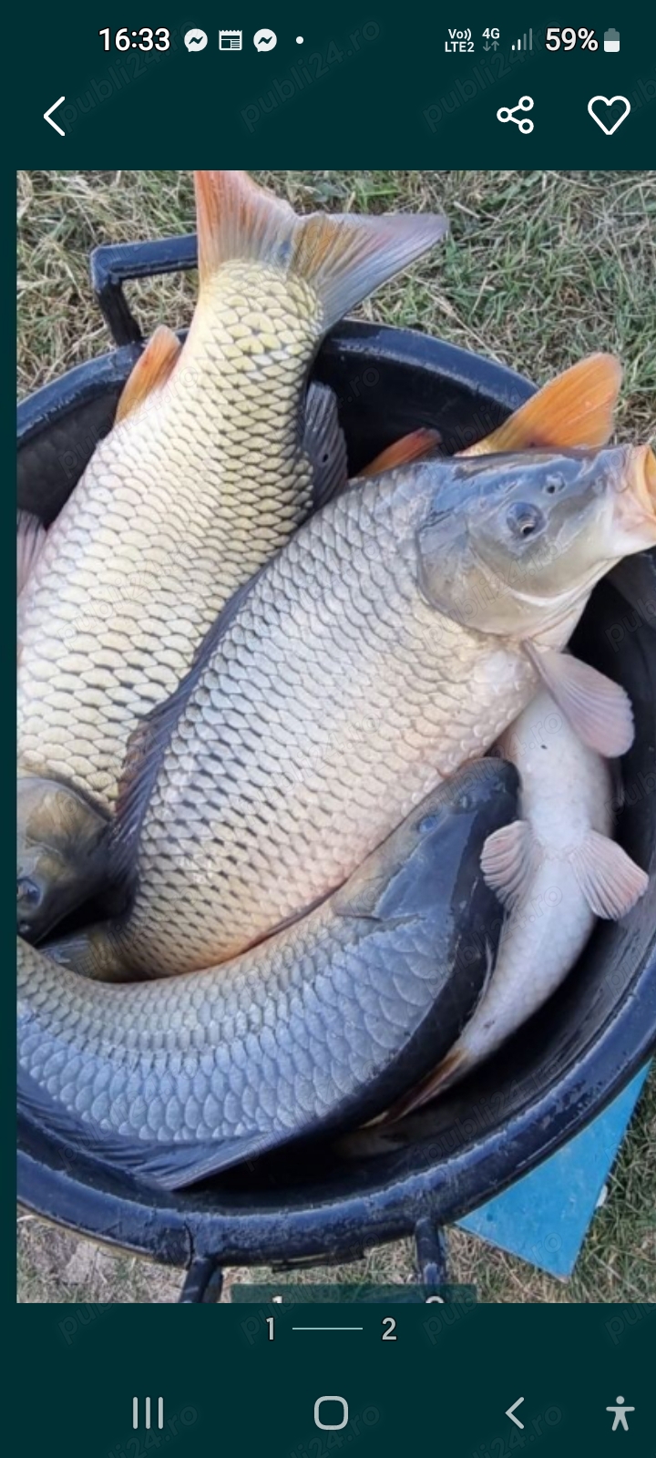 vind peste de consum si de populare vind peste de consum si de populare