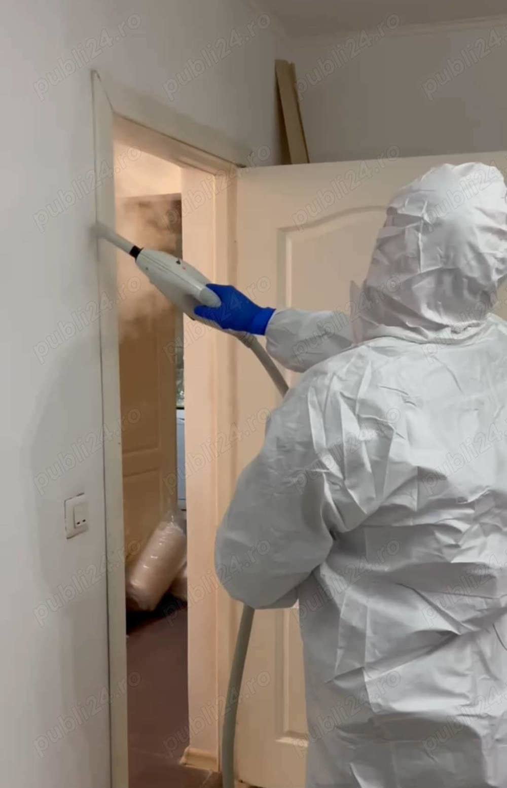 Dezinsectie, Dezinfectie, preturi competitive 600 ron   3 sedinte!