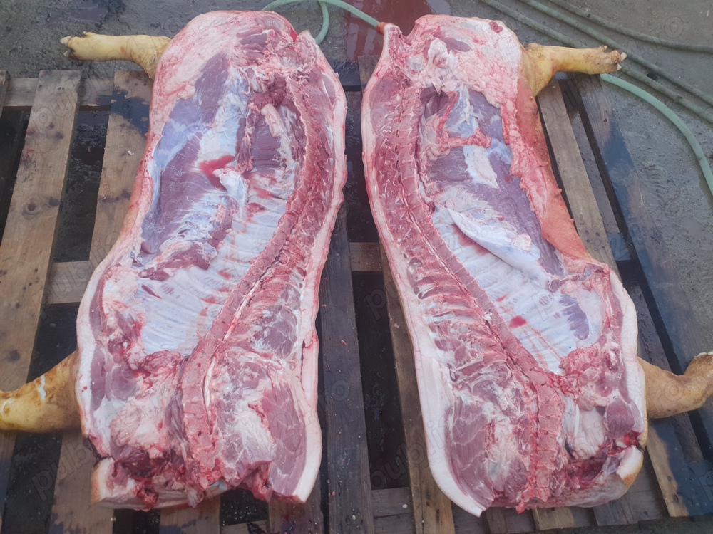 Carcasa porc de carne