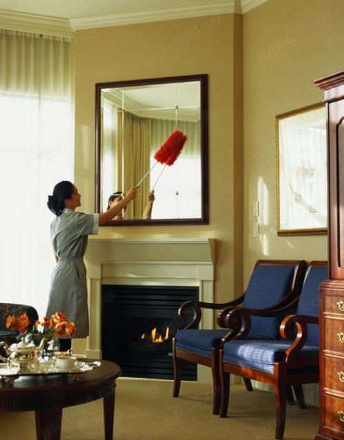 Menajera  Bona  6000 lei sector 2