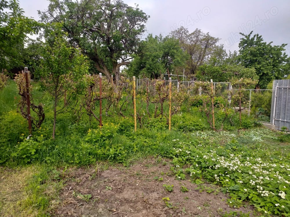 Loc de casa zona ANL Dobosari