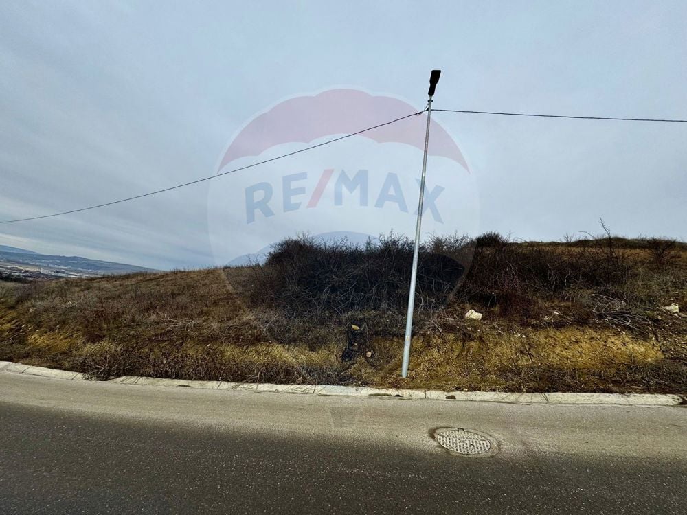 Teren Dezmir 2900 mp de vânzare, strada Trandafirilor, 0% Comision