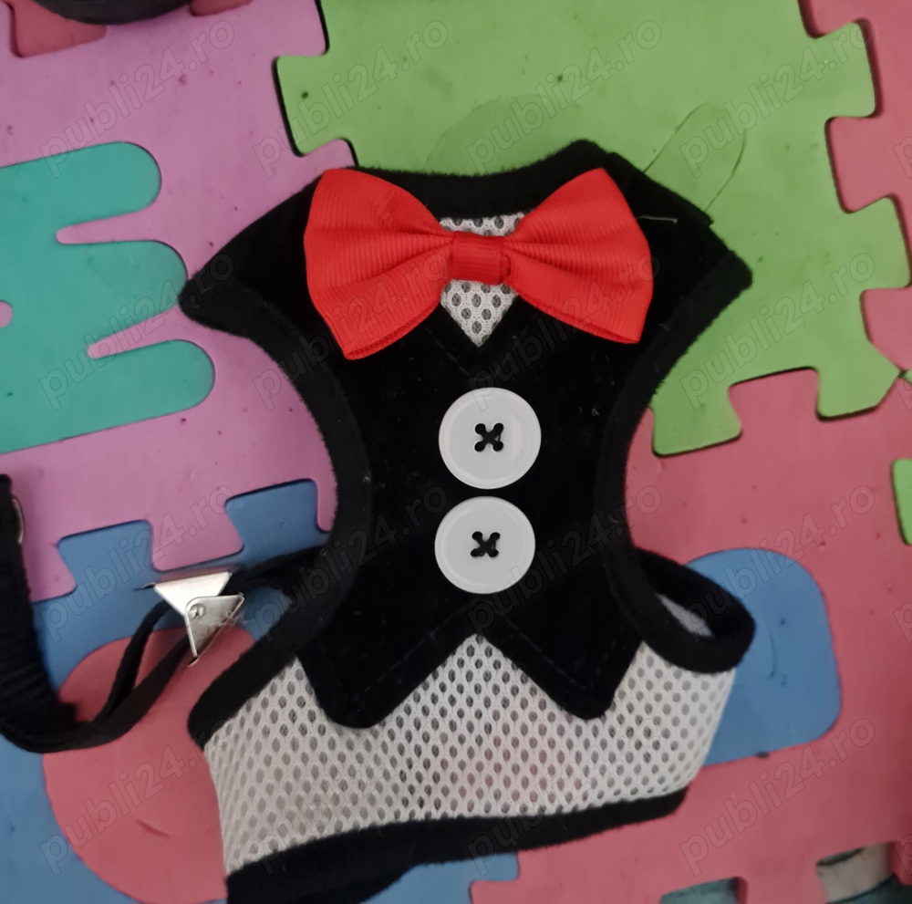 Ham catelusi  Ham catelusi