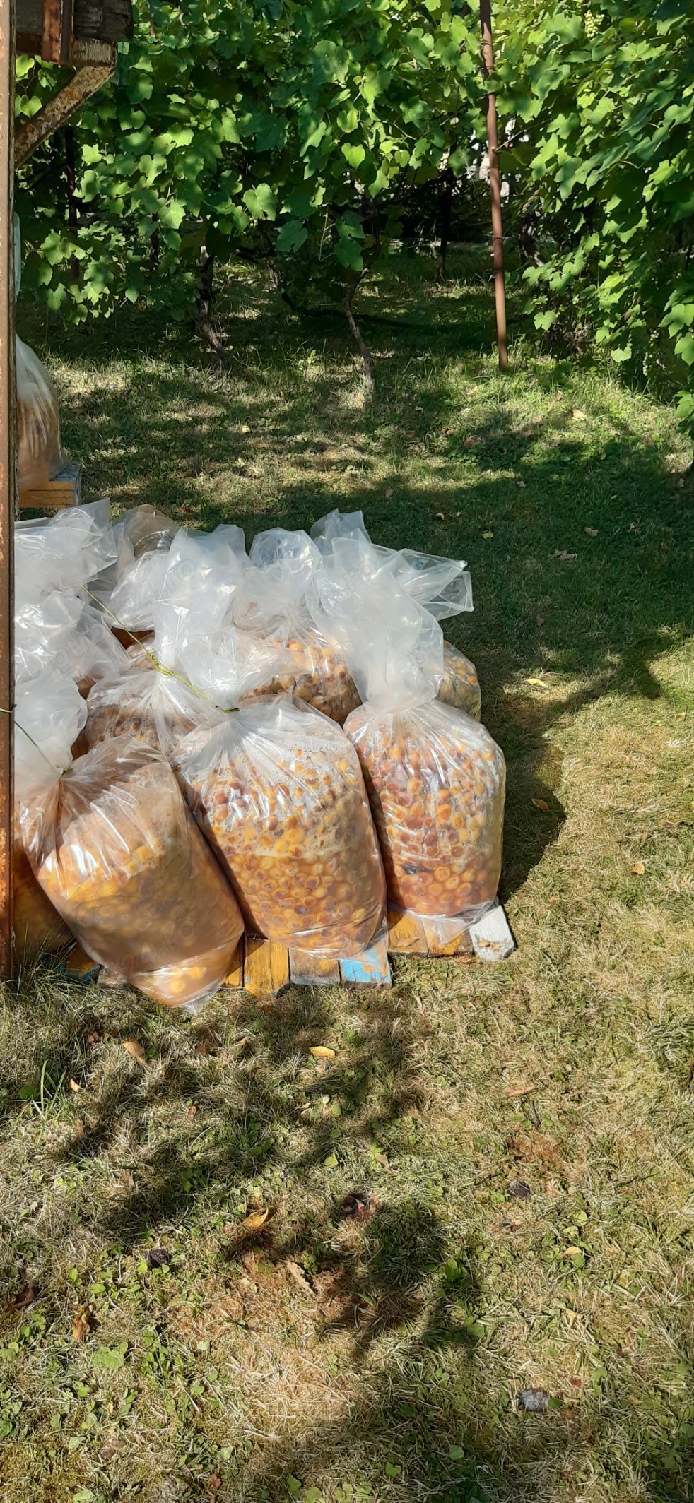 Vând palincă 100% prune,origine zona Cluj. 