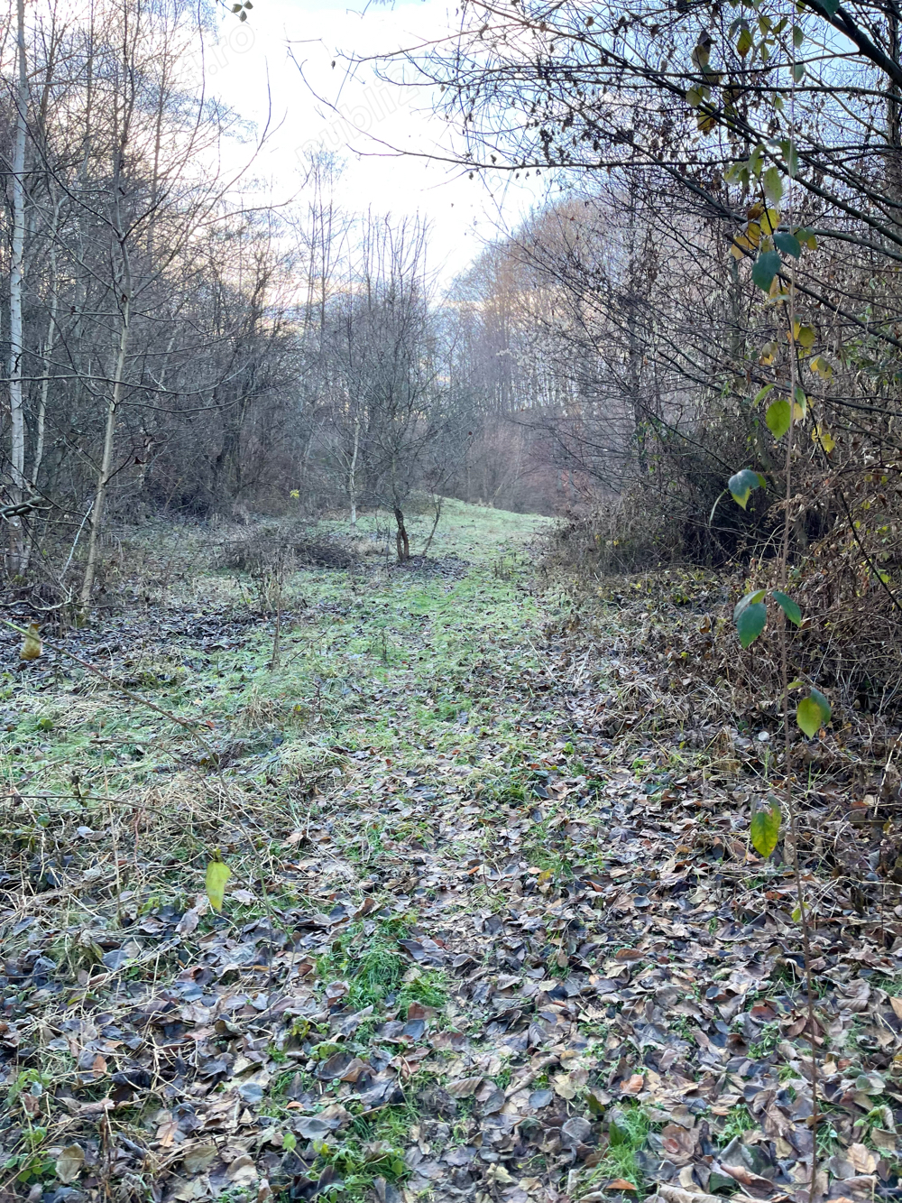 Teren de vânzare Valea Lunga-Dâmbovița 