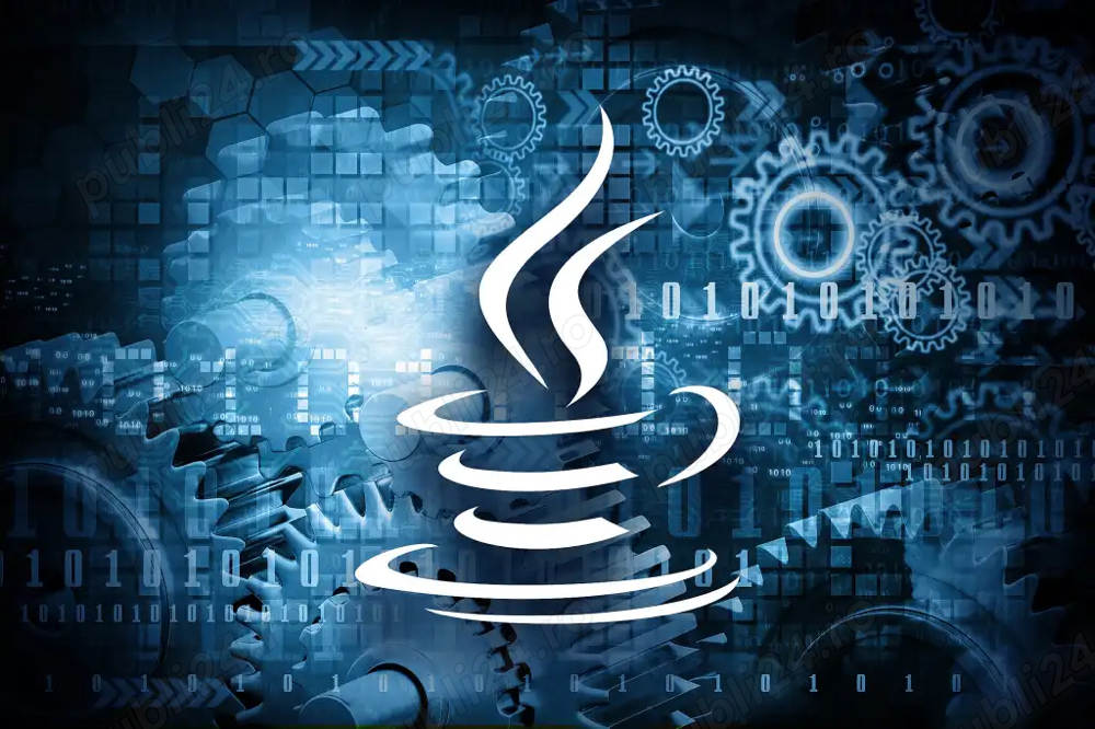 Ofer meditații online la informatică (programare Java)