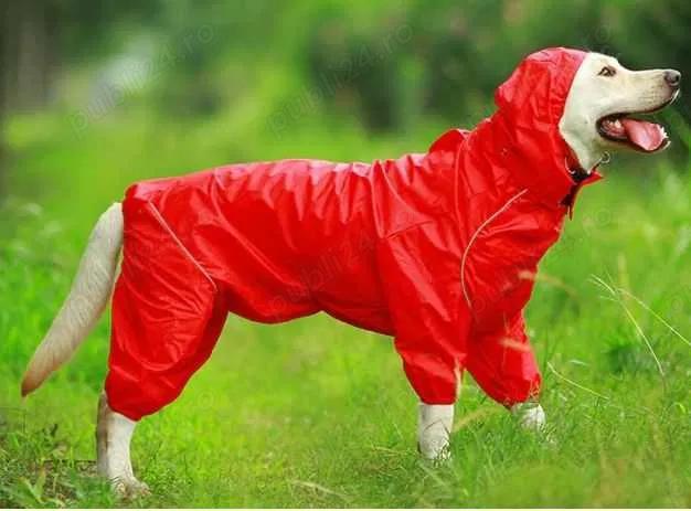 vand protectie impermeabilă pentru caine