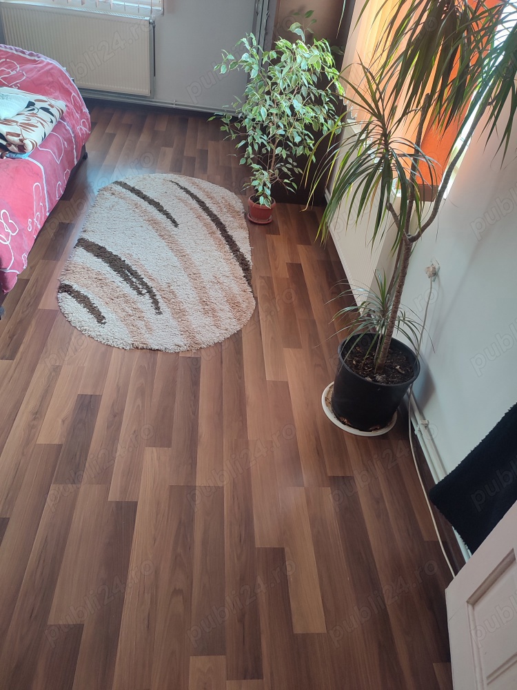 Amenajari interioare