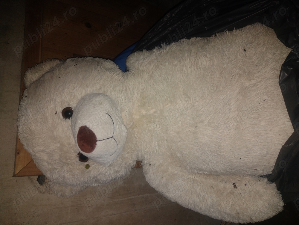 Ursuleț de pluș 