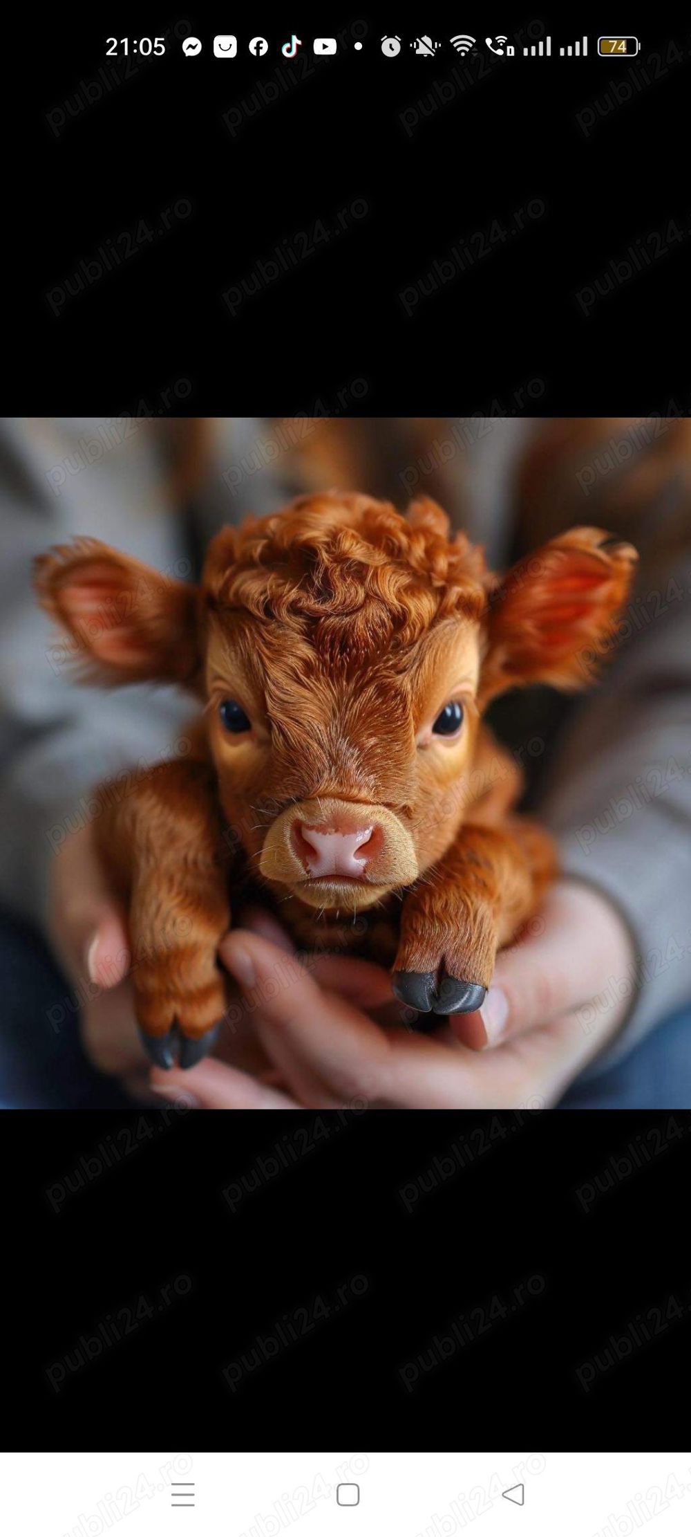 Transport persoane 8+1 aeroport și în alte rute