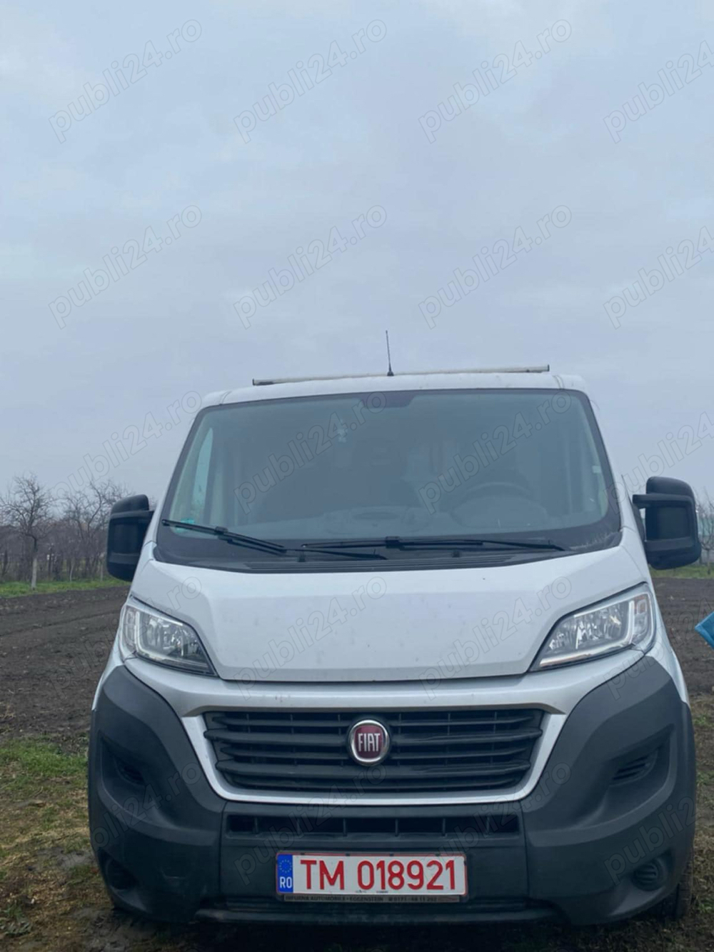 Fiat Ducato 2019