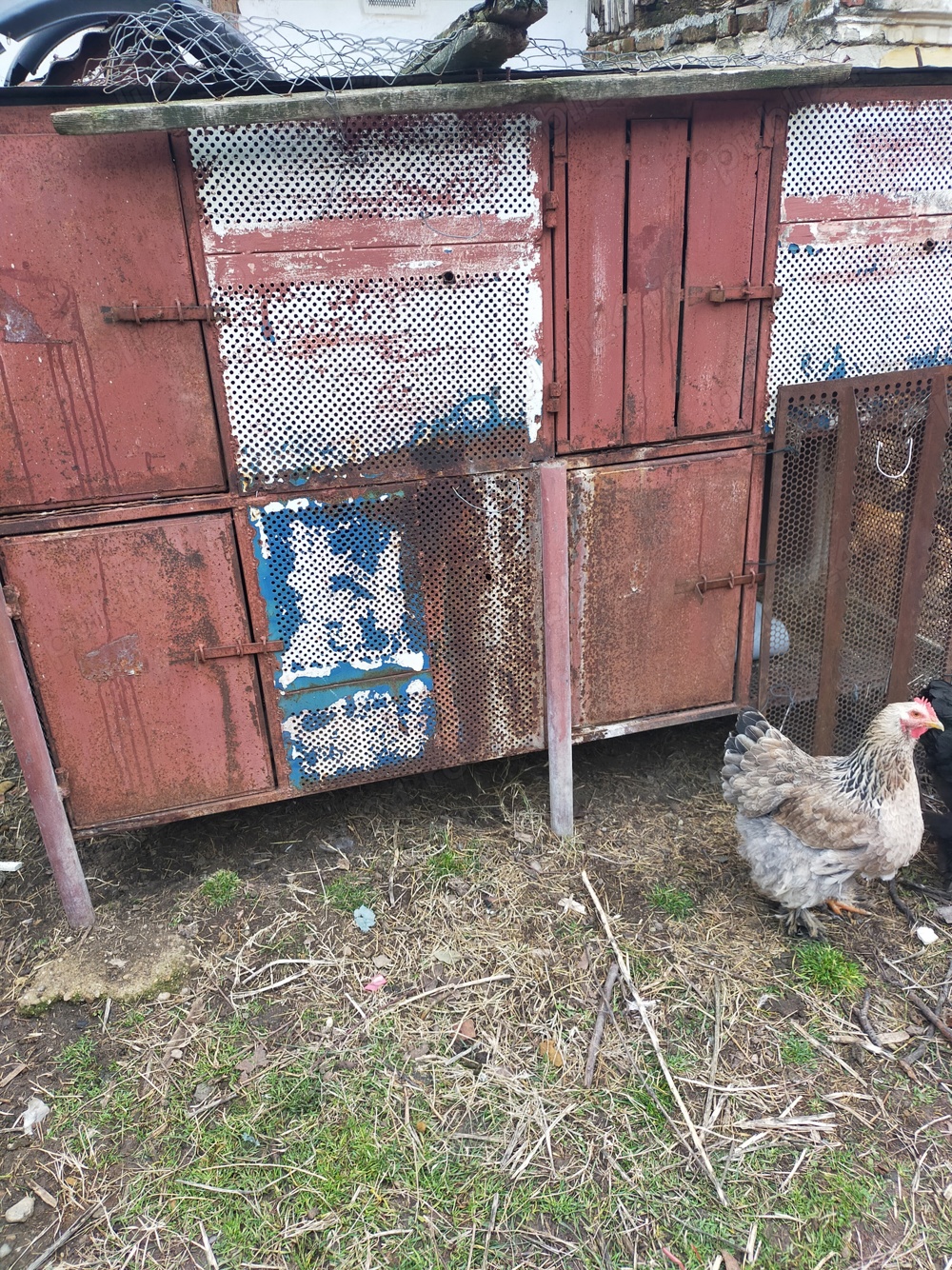 vand cușcă iepuri  vand cușcă iepuri