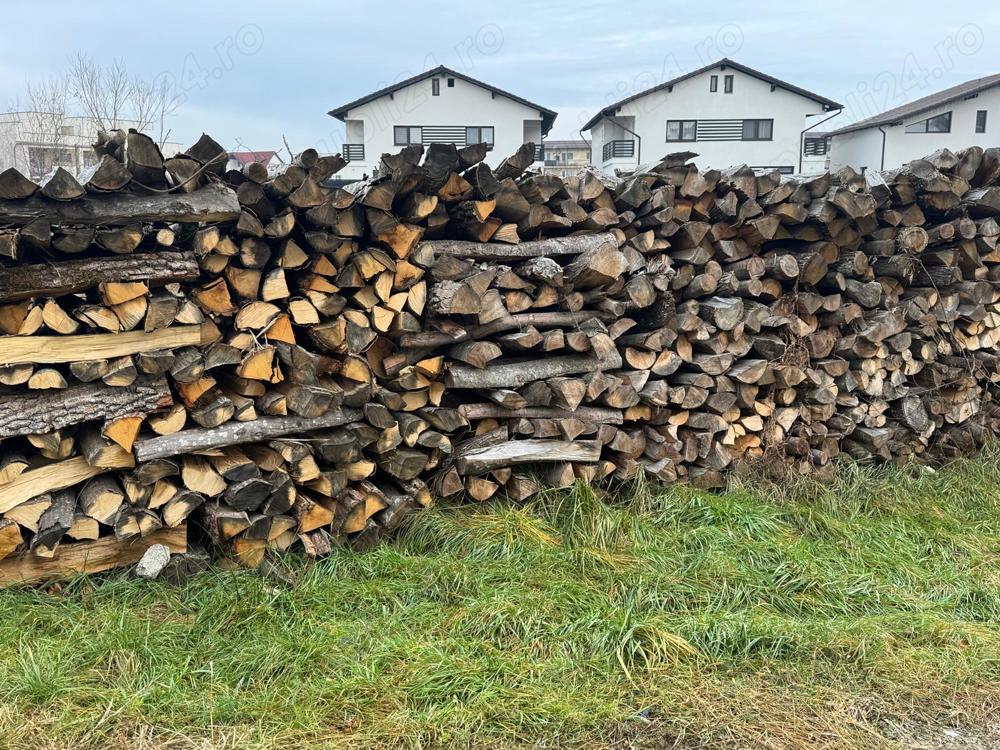 vand lemne fag carpen